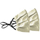 Essential Ensemble I - 2 Pleated Masks